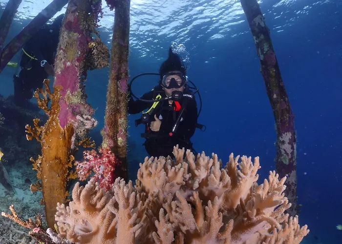 Amoryg Resort And Dive Raja Ampat