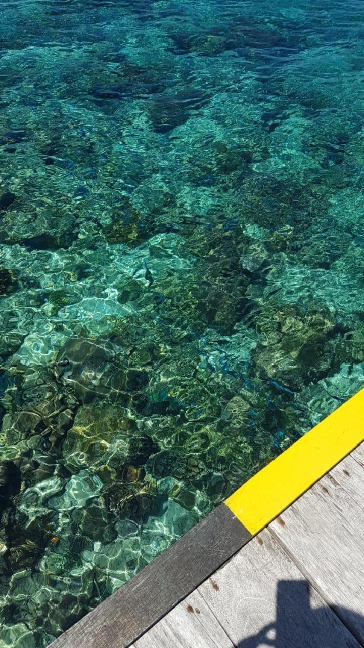 Amoryg And Dive Raja Ampat *