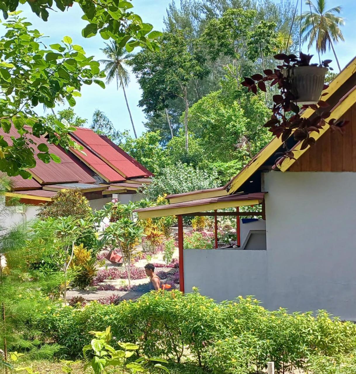 Guest house Amoryg And Dive Raja Ampat Pulau Mansuar