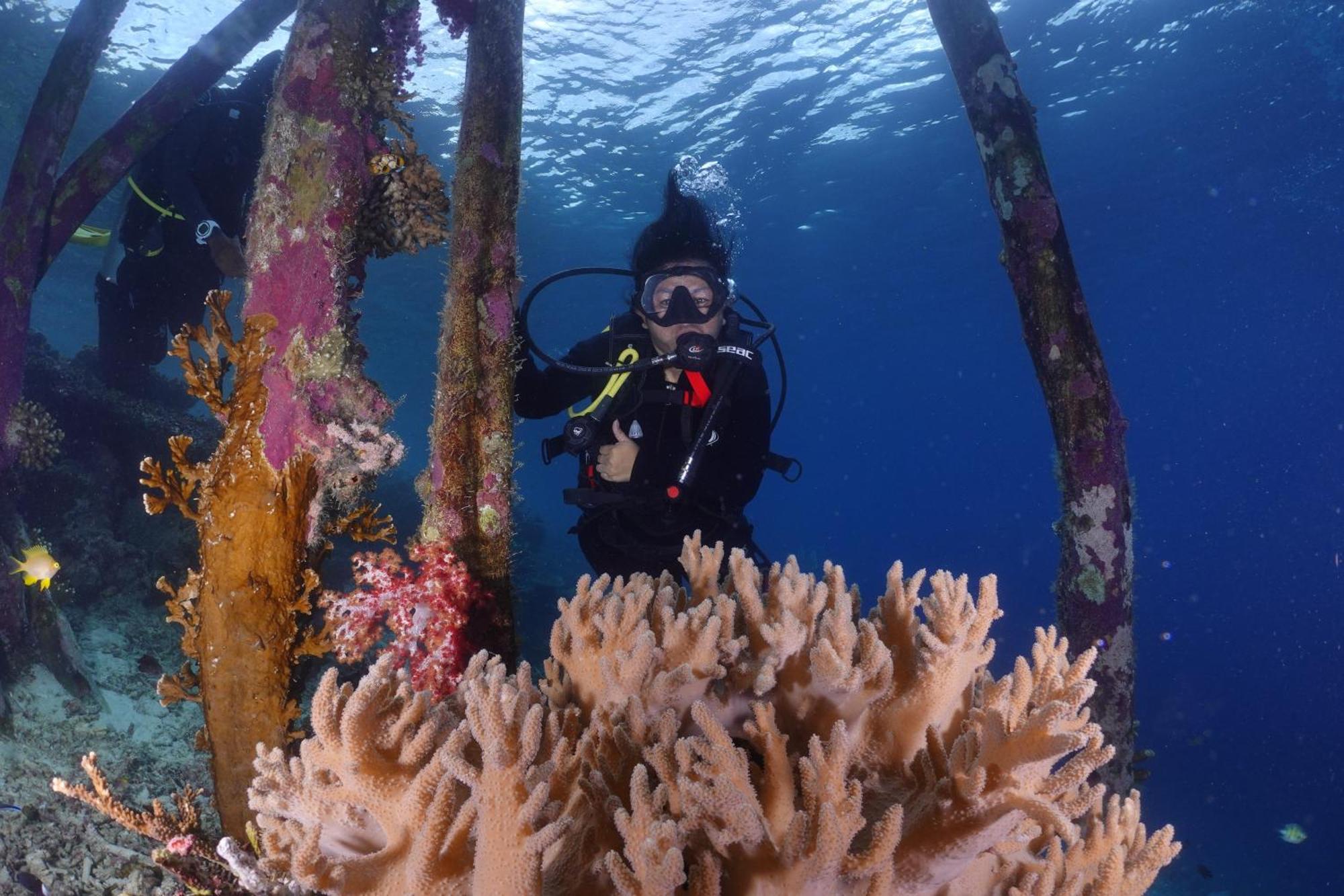 Amoryg And Dive Raja Ampat *