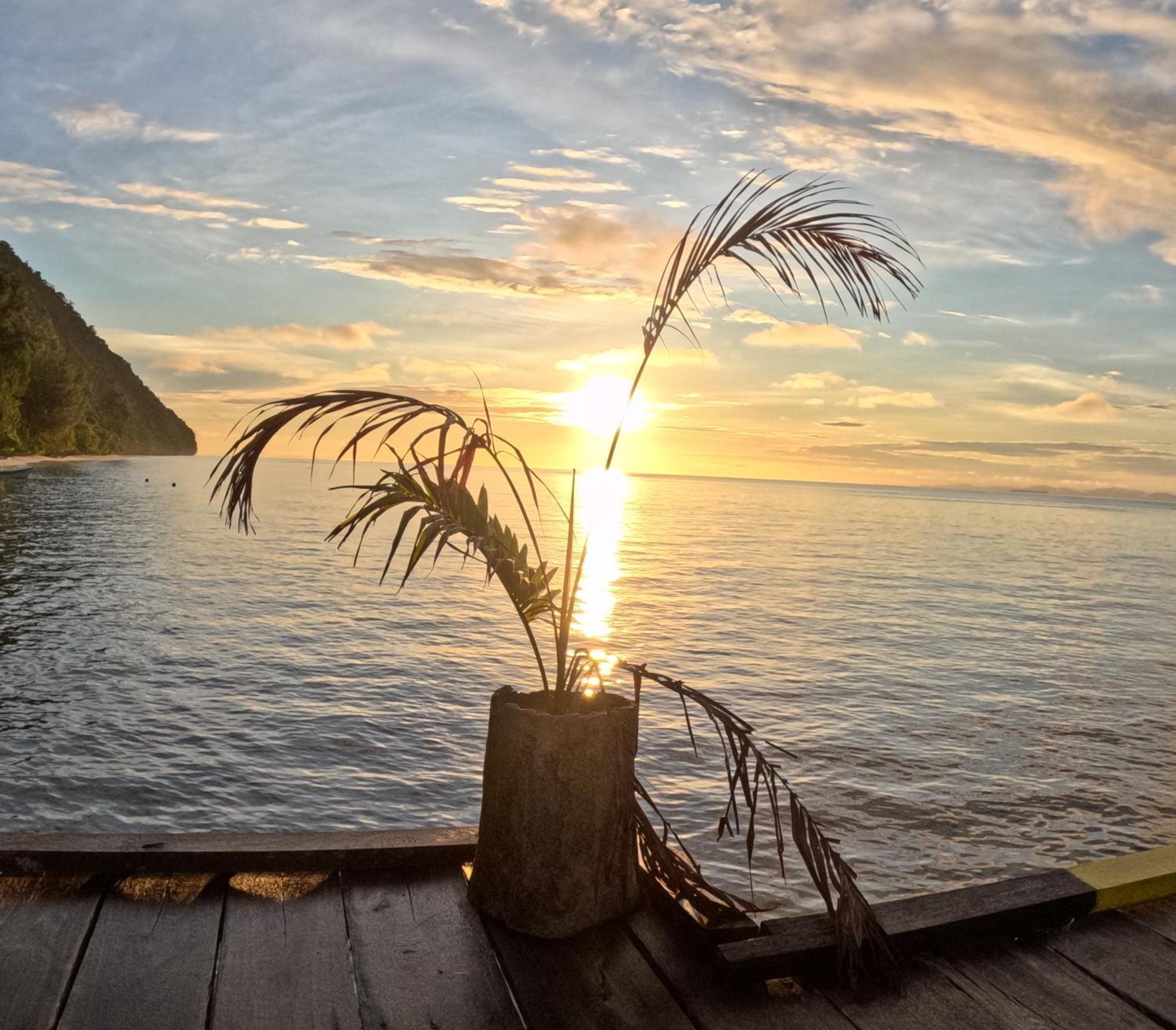 Amoryg And Dive Raja Ampat *
