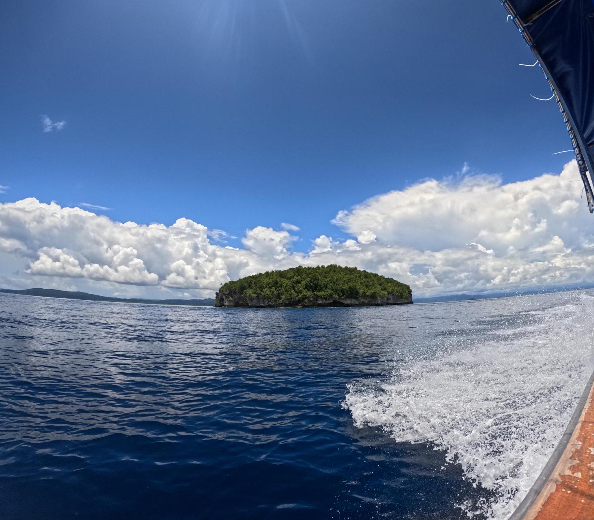 Amoryg And Dive Raja Ampat Guest house