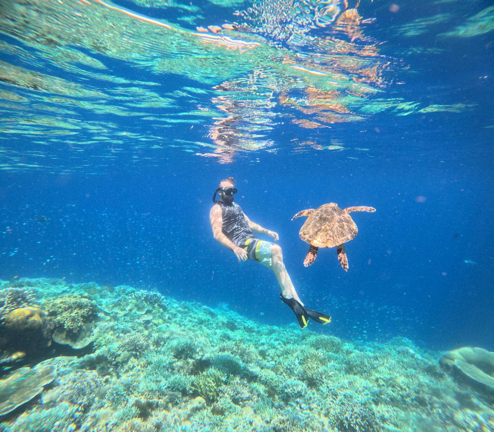 Amoryg And Dive Raja Ampat Guest house