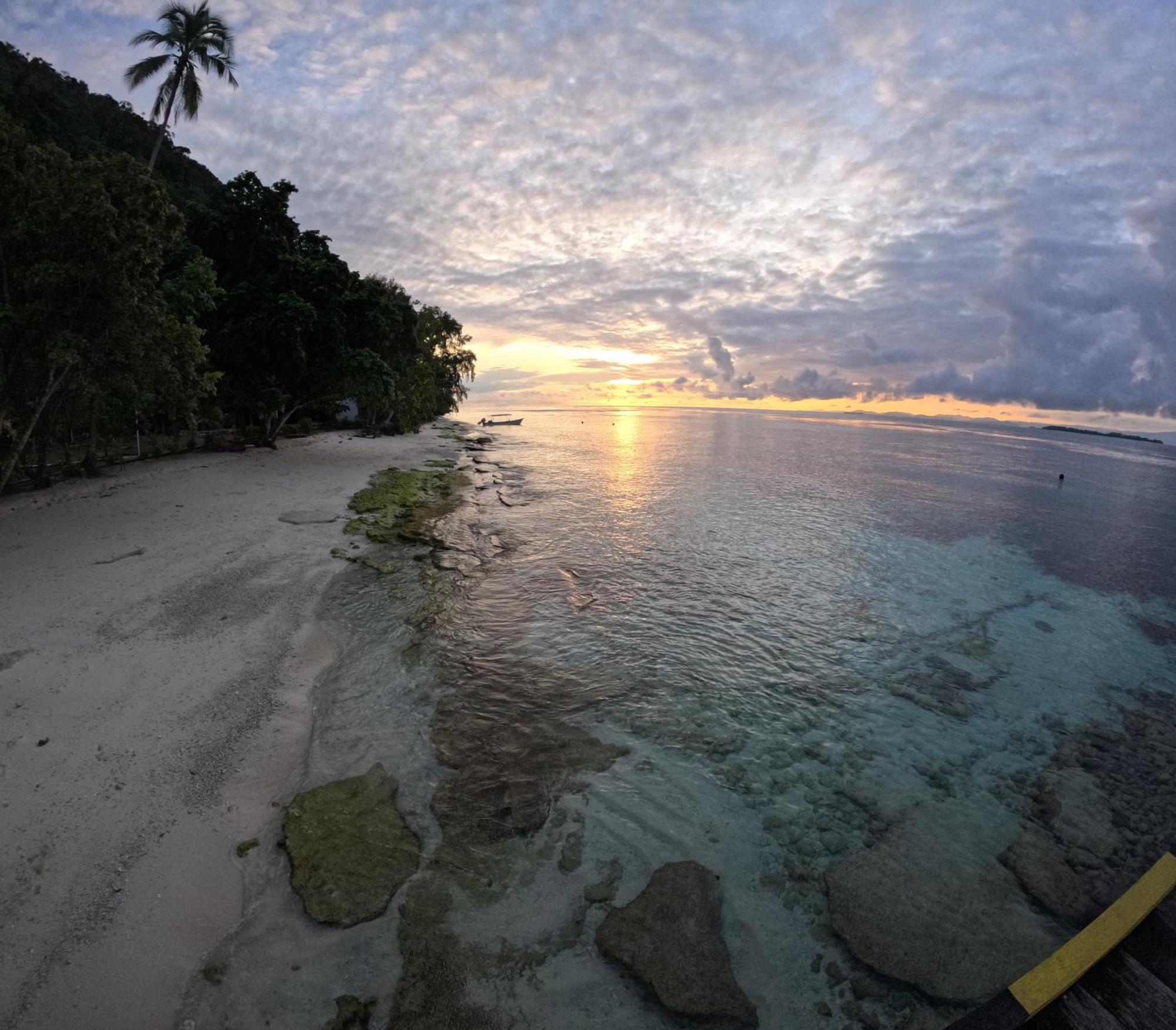 Amoryg And Dive Raja Ampat * Pulau Mansuar